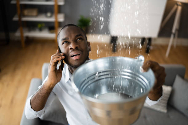 Best Sewage cleanup and water damage restoration  in Stonebridge, NJ