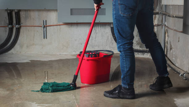 Best Water damage contractors near me  in Stonebridge, NJ