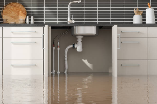 Best Flooded house restoration  in Stonebridge, NJ