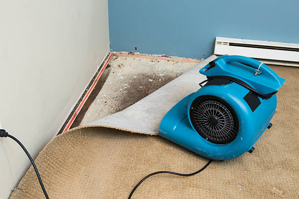 Best 24-hour water damage restoration  in Stonebridge, NJ
